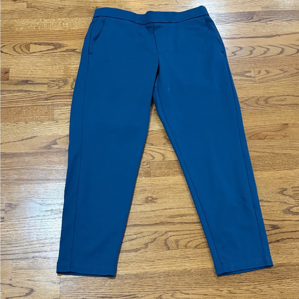 Bonobos Lounge/Athletic/Travel Pants - Blue (Large)
